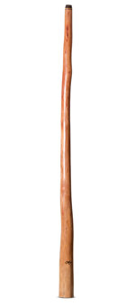 Tristan O'Meara Didgeridoo (TM511)
